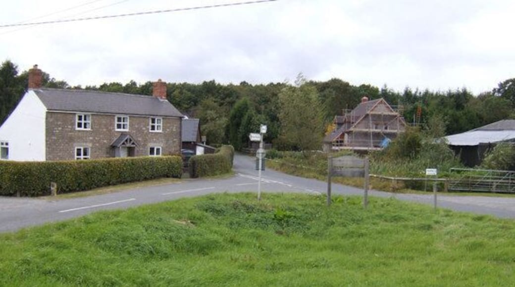 Old and new houses by Haugh Wood Viewed from the corner of Broadmoor Common. The wood is behind the cottages.
