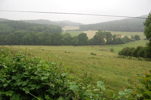 Fields near Cockshoot