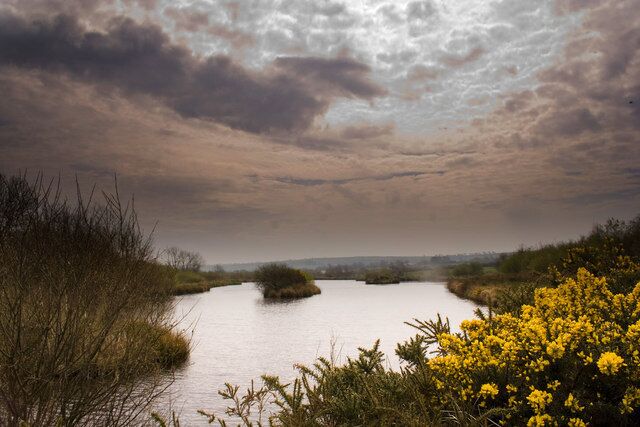 Haycroft trout lake, Hole Farm A private syndicate lake in a peaceful part of Devon.