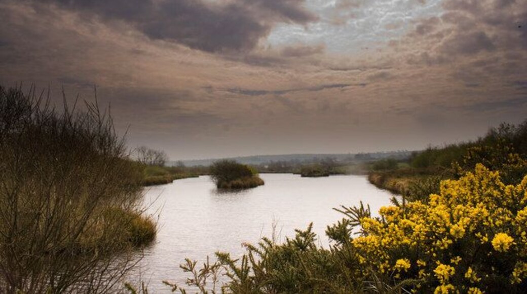 Haycroft trout lake, Hole Farm A private syndicate lake in a peaceful part of Devon.
