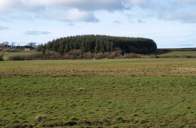 Wood, Huddisford From the straight lane between Biteford Bridge and Duerdon, which brushes across the edge of this square, a view from a deer-crossing point on the laneside bank of a rectangular plantation, seen end on, to the east of the three farms at Huddisford. The land slopes to the left, towards Clifford Water.