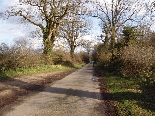 The road to Wood Norton Wood Norton is at the end of the road - one of the many small villages in this part of North Norfolk