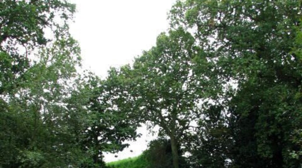 Heading east towards the B1110