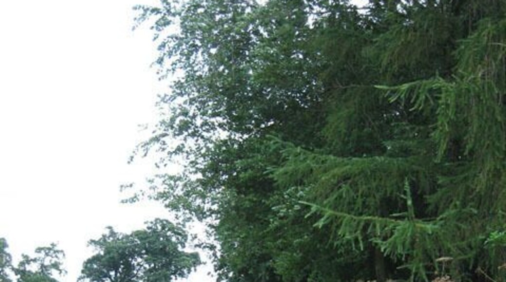 If only all footpaths were this smooth! Almost lawn-like in quality, this footpath, starts at 558012 and leads to 558024