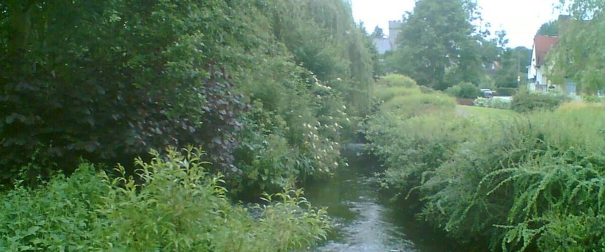 A narrow waterway flanked by dense greenery and a few buildings in the distance.