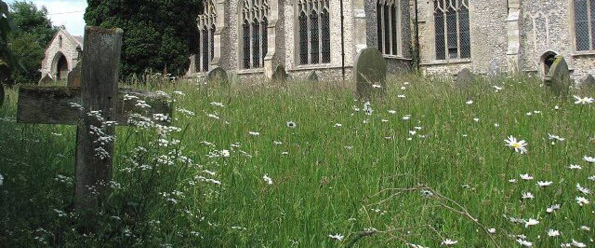 St Mary's church The old simple wooden cross seen in the foreground (left) is located in the southeastern-most corner of the churchyard. St Mary's church faces the village green with what remains of a village pump in its centre > https://www.geograph.org.uk/photo/840847. Dating from the 14th and 15th centuries, the church was extensively restored > https://www.geograph.org.uk/photo/840900 - https://www.geograph.org.uk/photo/840902 but a late 14th century font remains > https://www.geograph.org.uk/photo/840904 and the tower screen has presumably been fashioned from parts of the 15th century rood screen. The unusual stained glass in the aisle windows > https://www.geograph.org.uk/photo/840907 and the west window date from 1874. There are also a few interesting brasses, one a very rare so-called cadaver brass - a shrouded skeleton > https://www.geograph.org.uk/photo/840912 - to Thomas Brigge (d. 1470). The church is open every day. See also: http://www.norfolkchurches.co.uk/wiveton/wiveton.htm