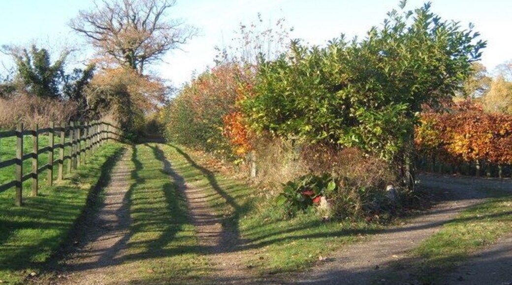 Track near Witnesham Hall