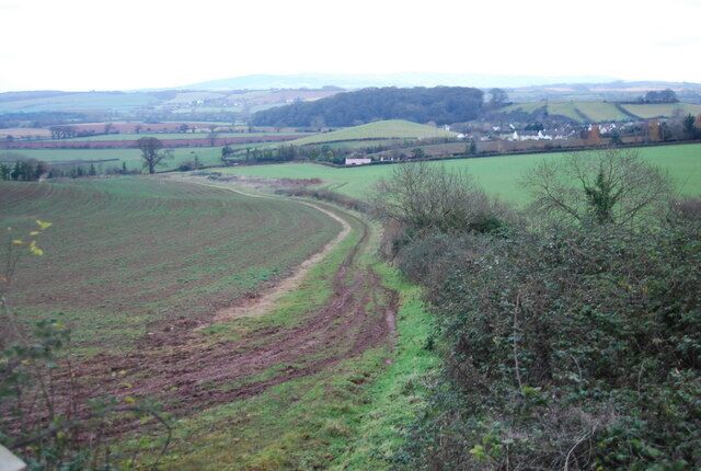 Footpath off Mill Lane follows the hedge