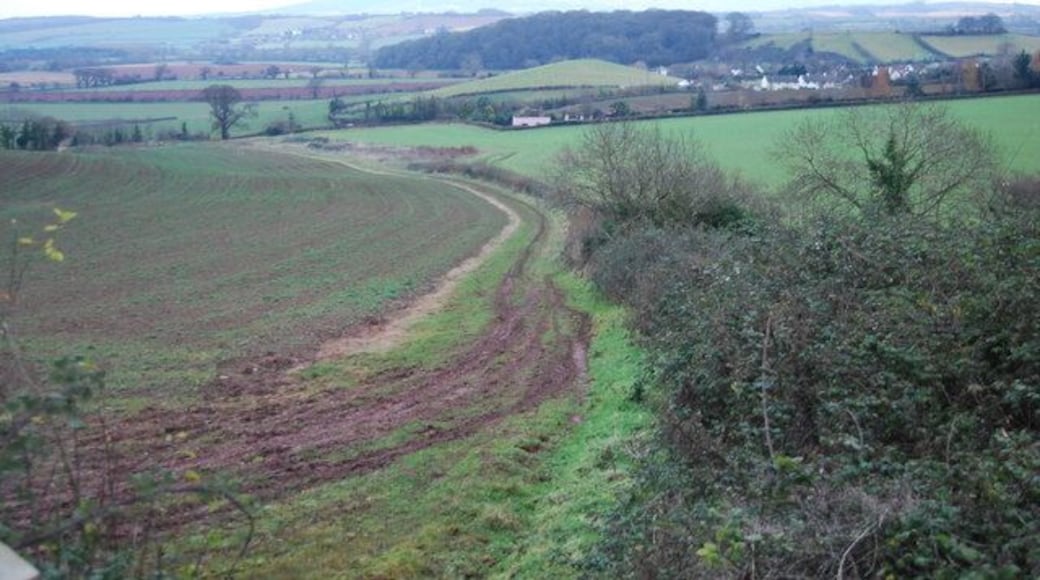 Footpath off Mill Lane follows the hedge