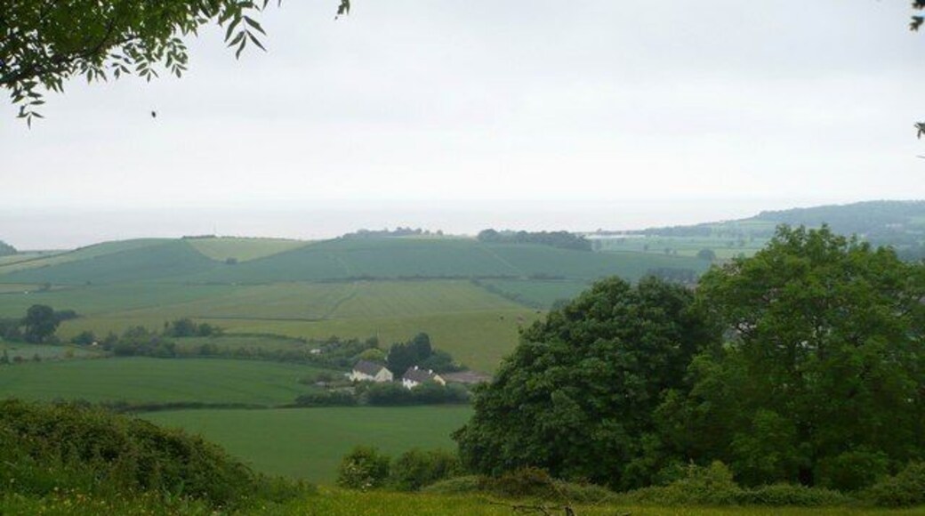 Looking towards the coast between Withycombe and Dunster
