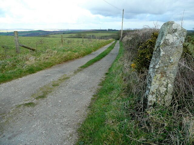 Track to Trevidgeowe Farm The farm track seems to be recent as it is not on current mapping. The menhir (standing stone) to the right is possibly a boundary marker.