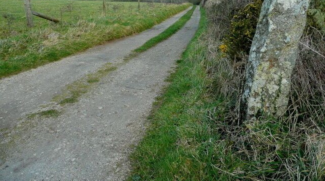 Track to Trevidgeowe Farm The farm track seems to be recent as it is not on current mapping. The menhir (standing stone) to the right is possibly a boundary marker.