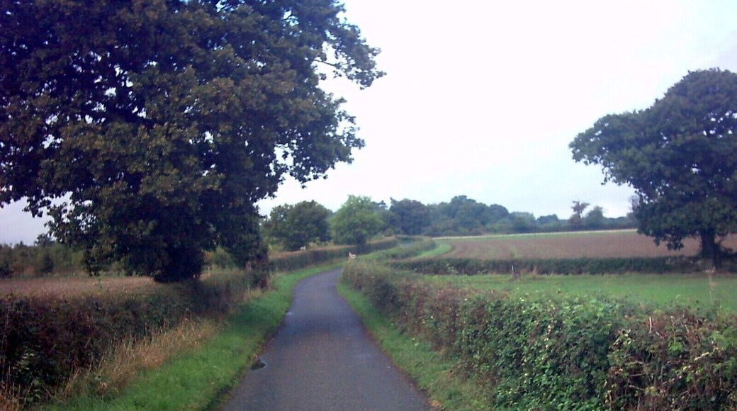 Lane near Halleluia Farm