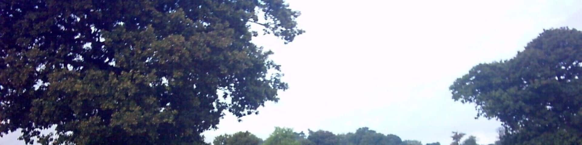 Lane near Halleluia Farm