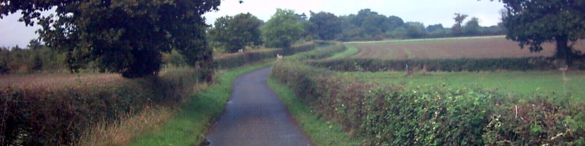 Lane near Halleluia Farm