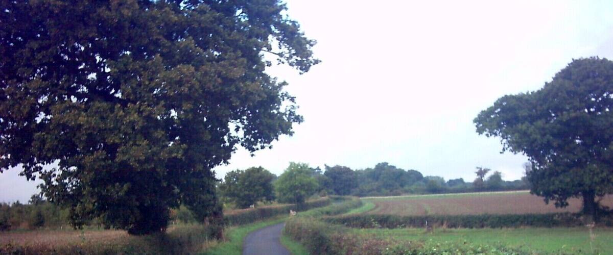 A narrow rural road flanked by fields and trees.