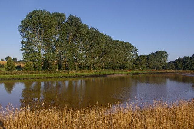 Fishing Lake, Wash Lane Newly dug fishing lake.