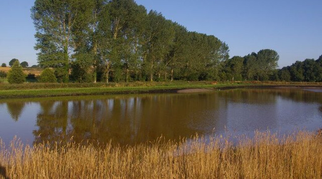 Fishing Lake, Wash Lane Newly dug fishing lake.