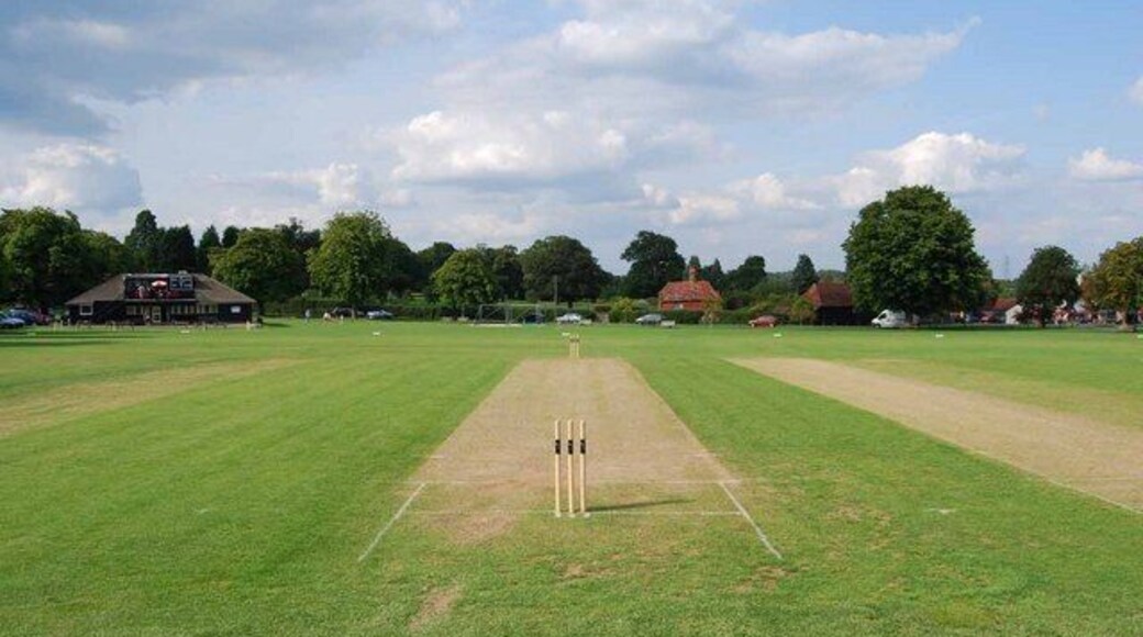The cricket pitch at Wisborough Green