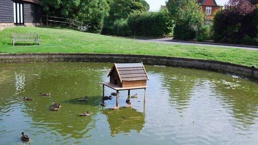 Duck house in Wisborough Green This year's latest des res for our aquatic friends.