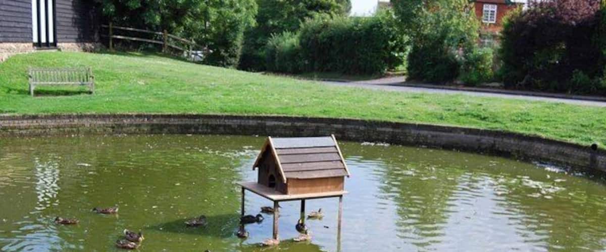 A pond with a wooden duck house and several ducks swimming.