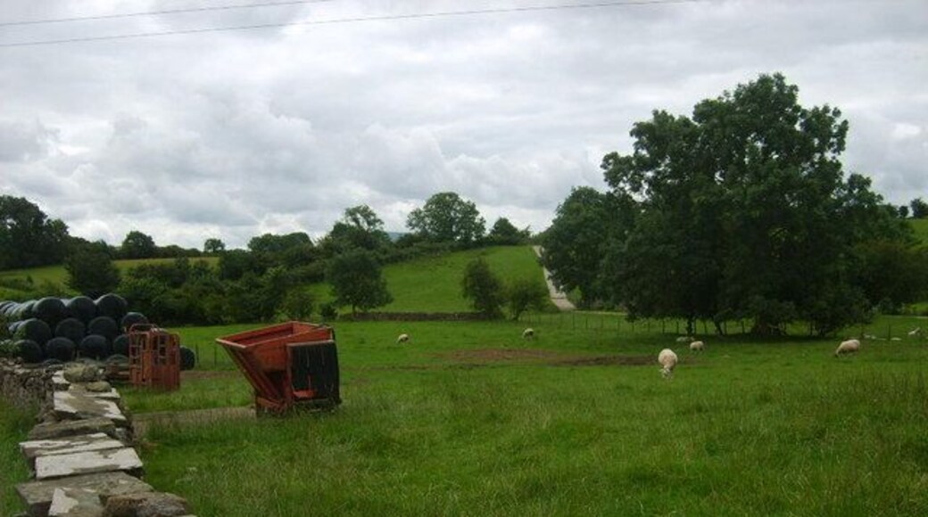 Farming at Winton Sheep grazing in a field yards from the village centre