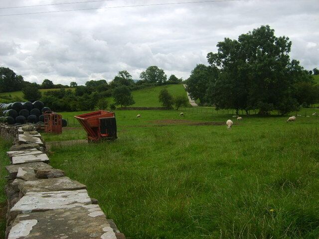 A rural landscape with a stone wall, green fields, trees, and a sheep grazing.