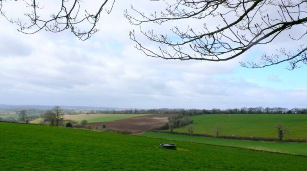 Countryside at Greencoombe Farm View north west across the square just south of the farm from the road that runs north from Winsham.