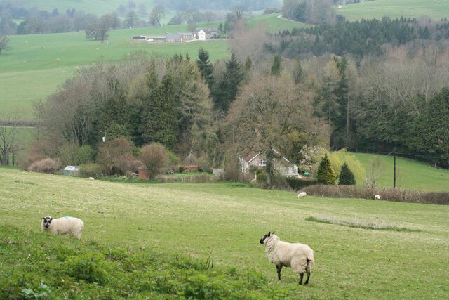 Winsham: north from Limekiln Lane Looking towards Chalkway and Puthill