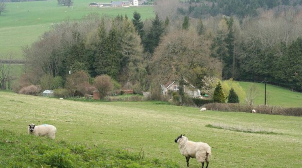 Winsham: north from Limekiln Lane Looking towards Chalkway and Puthill