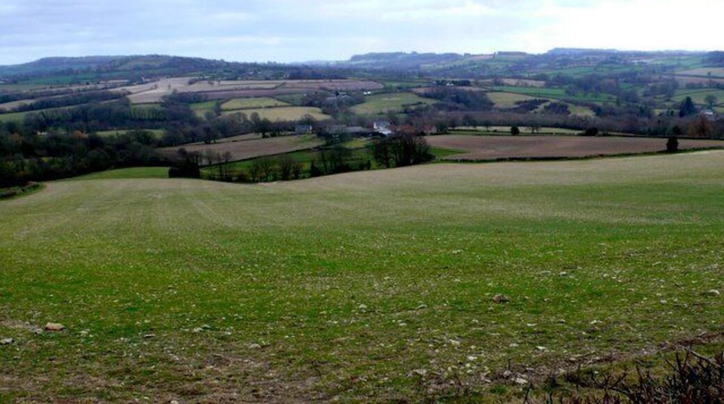Freshly planted field near Winsham This field is in the very south west corner of the square. The houses lower down the valley are in the next square at Broadenham Farm.