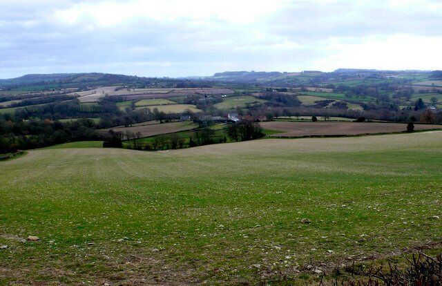 Rolling hills, a field, and scattered trees.