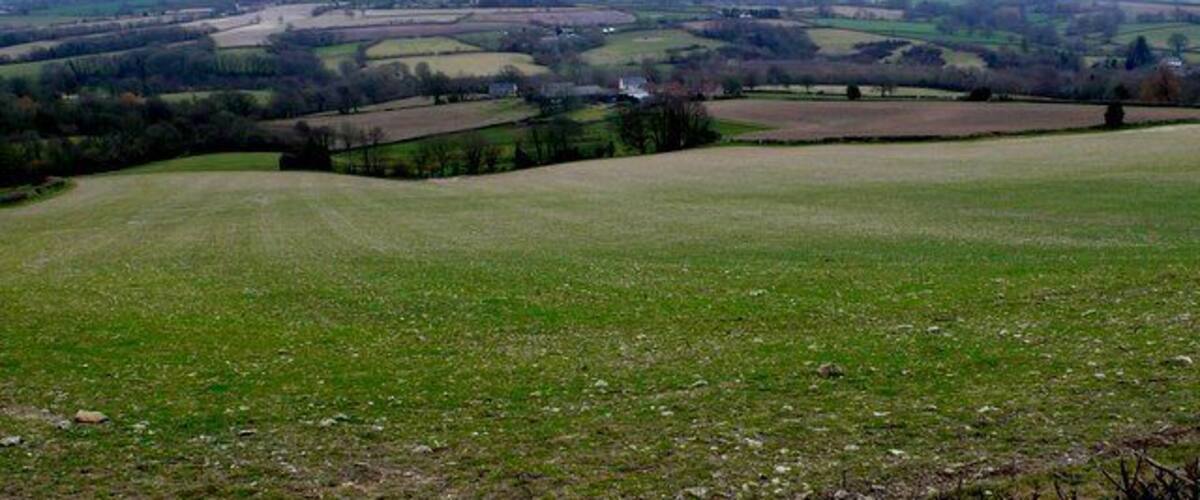 Rolling hills, a field, and scattered trees.