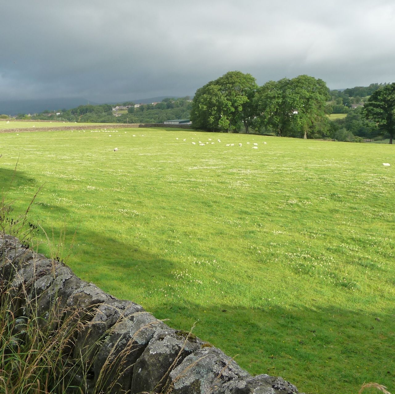 hills near Laneshawbridge