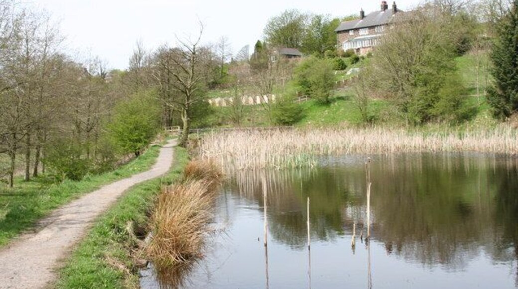 Laneshaw Bridge The old tannery pond