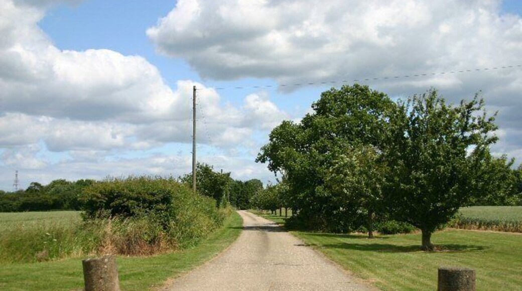 Track to The Gesyns. A private driveway leading to a moated farmhouse at Boyden End, known as The Gesyns. During the 17th century, non-Conformists held 'dissenting acadcemies' at Gesyns, then the home of one Revd. Samuel Cradock.