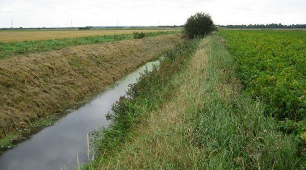 Twelve Foot Drain This drainage ditch crosses the land known as Wicken Dolvers.