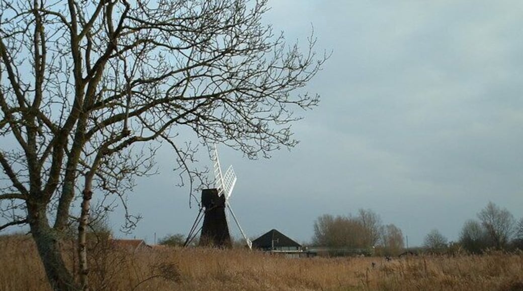 Wicken Fen. Windmill and visitor centre in the same picture.