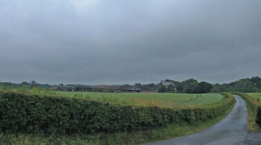 Entrance to Bark House Farm. Looking south along the drive to Bark House Farm from its junction with Mill Lane.