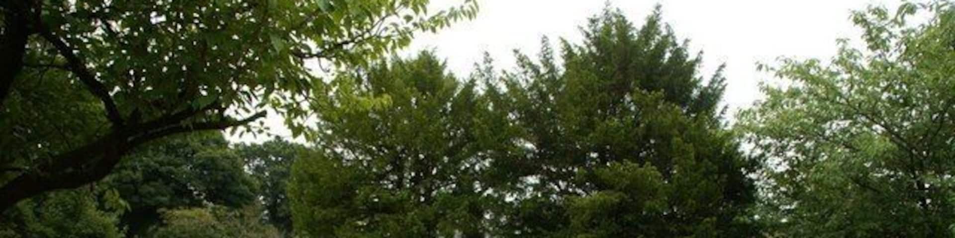 Path to St Mary's Church