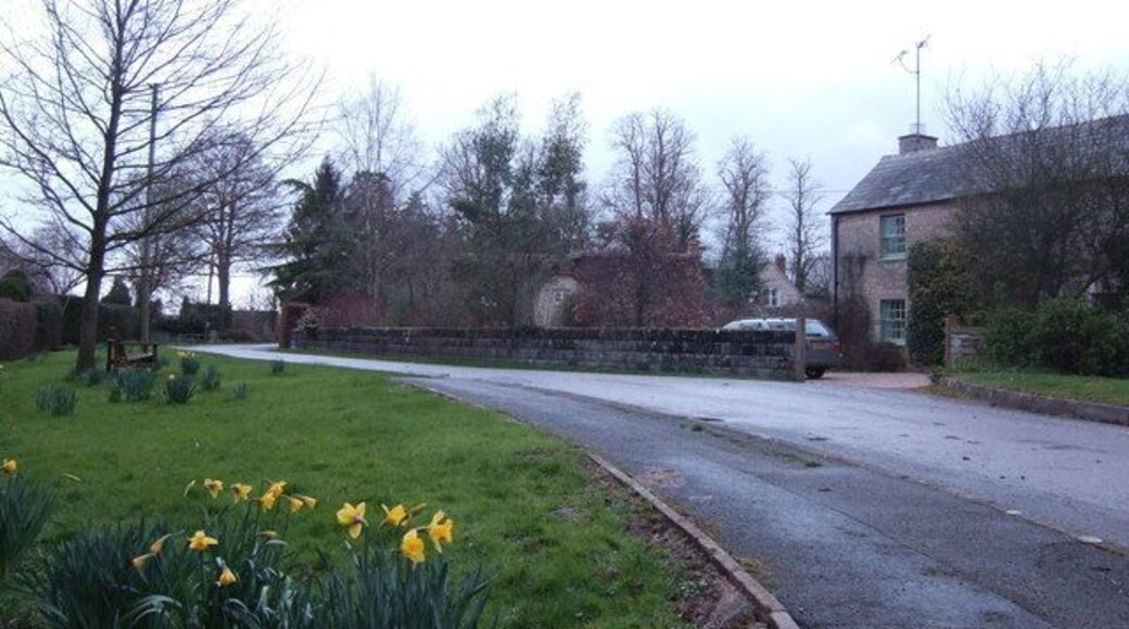 Spring bulbs in Whelford By the entrance to St Anne's parish church.