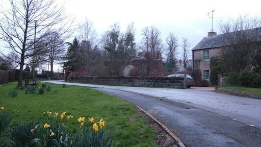 Spring bulbs in Whelford By the entrance to St Anne's parish church.