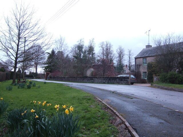 A rural road with a stone wall, a grassy area with daffodils, and houses in the background.