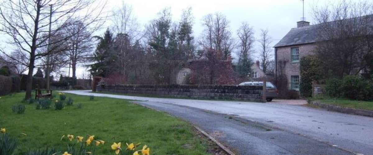 A rural road with a stone wall, a grassy area with daffodils, and houses in the background.
