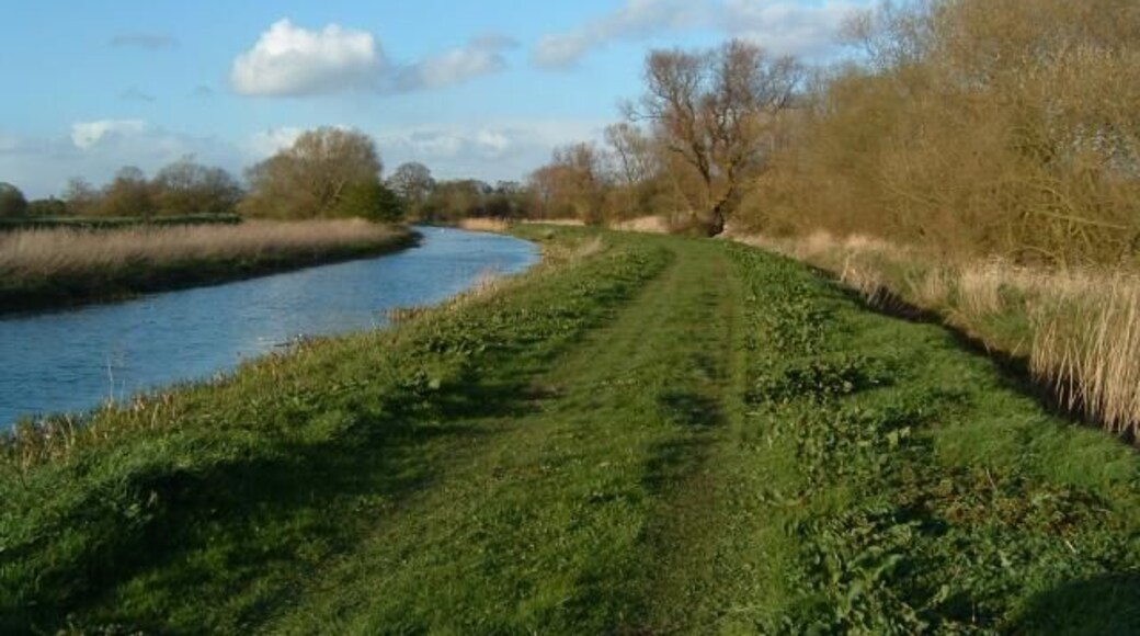 Pocklington Canal. Between East Cottingwith and Storwood, East Riding of Yorkshire, England. Looking North.