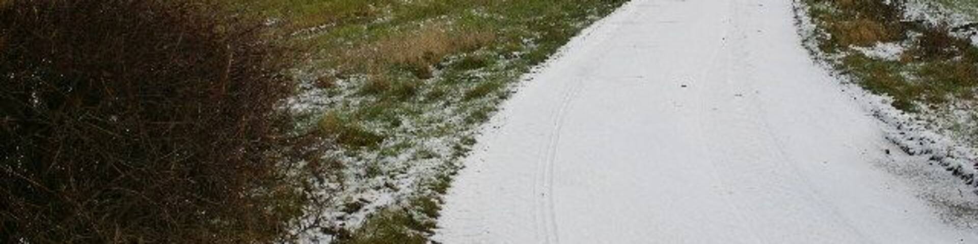 Track to Noahs Ark Farm. Looking NE from position
