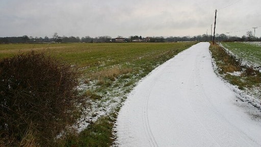 Track to Noahs Ark Farm. Looking NE from position