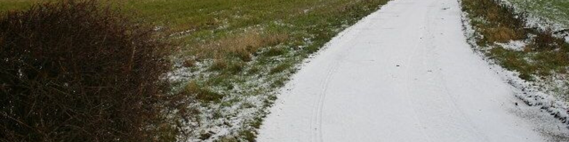 Track to Noahs Ark Farm. Looking NE from position