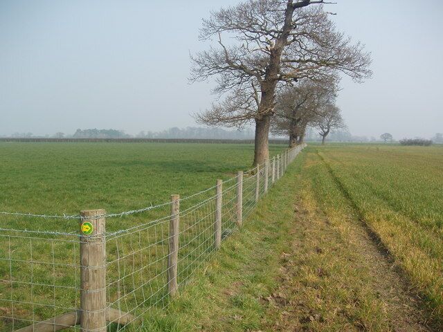 New Field Boundary near "The Parks" Not shown as a field boundary on the 1:25,000 scale OS map, this new post and wire field boundary can be clearly located by the public footpath that crosses it at a right angle (PF marker shown on the corner post) and the area of mixed woodland behind the photographer. The trees are relatively mature and must have been a feature of "The Parks" when it was one large field. Currently it is arable to the south of the new field boundary and grass to the North.
