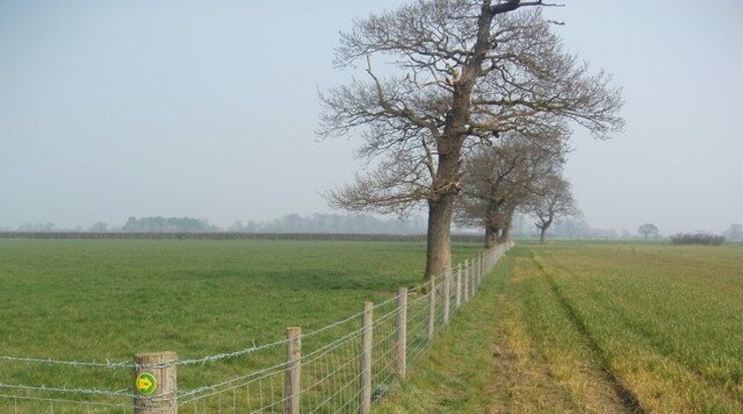 New Field Boundary near "The Parks" Not shown as a field boundary on the 1:25,000 scale OS map, this new post and wire field boundary can be clearly located by the public footpath that crosses it at a right angle (PF marker shown on the corner post) and the area of mixed woodland behind the photographer. The trees are relatively mature and must have been a feature of "The Parks" when it was one large field. Currently it is arable to the south of the new field boundary and grass to the North.